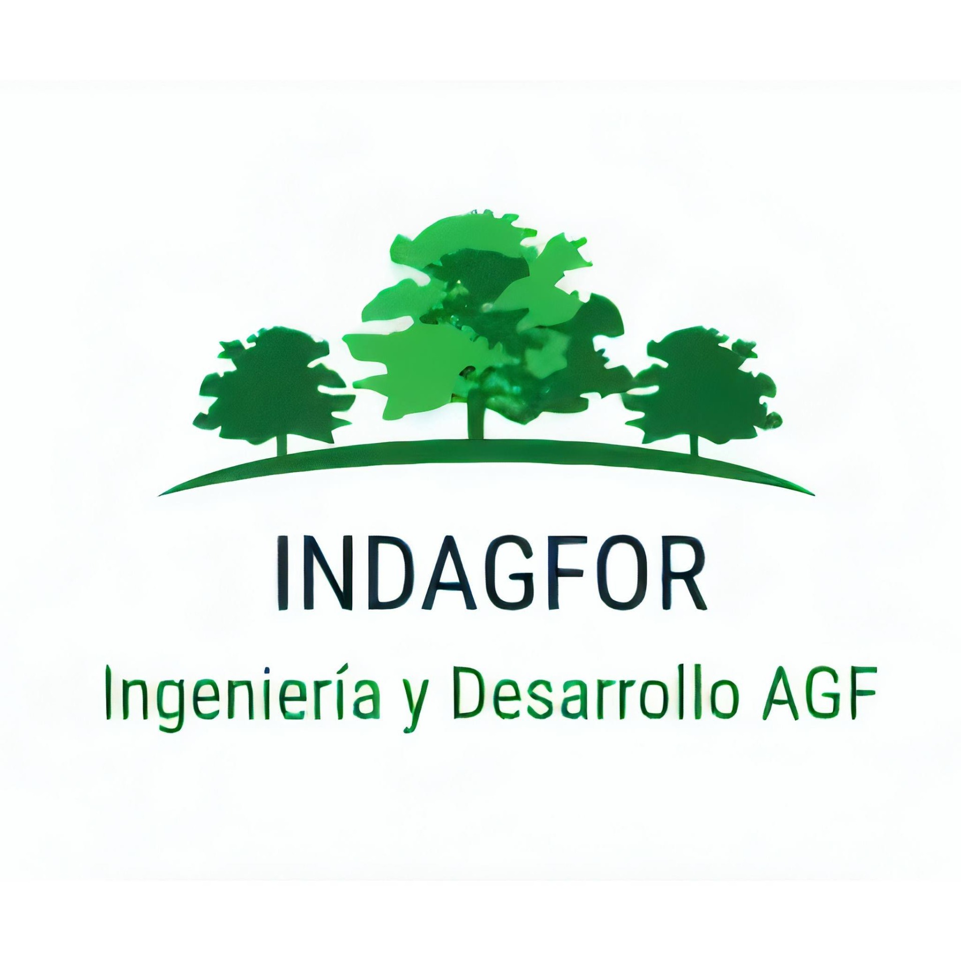 Sigueme en Youtube